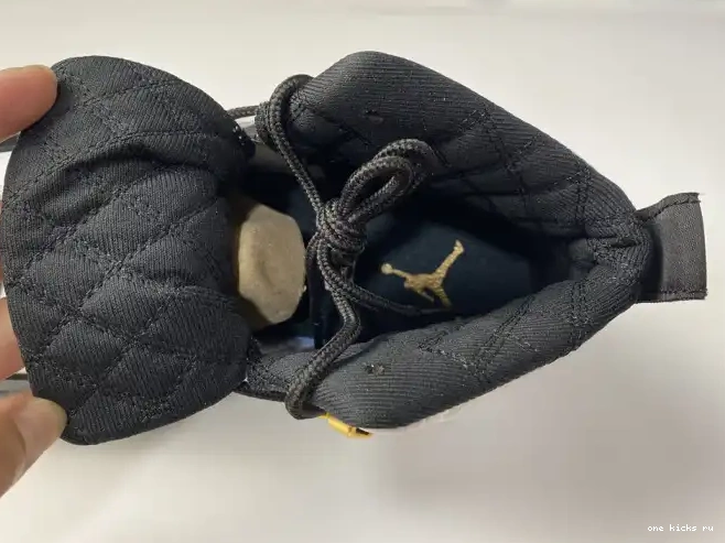Chep Onekick CT8013-170 Royalty Jordan Air 12 0420